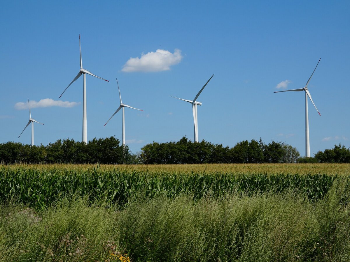 Windpark Woltersdorf Windkraftanlagen des Windparks Woltersdorf