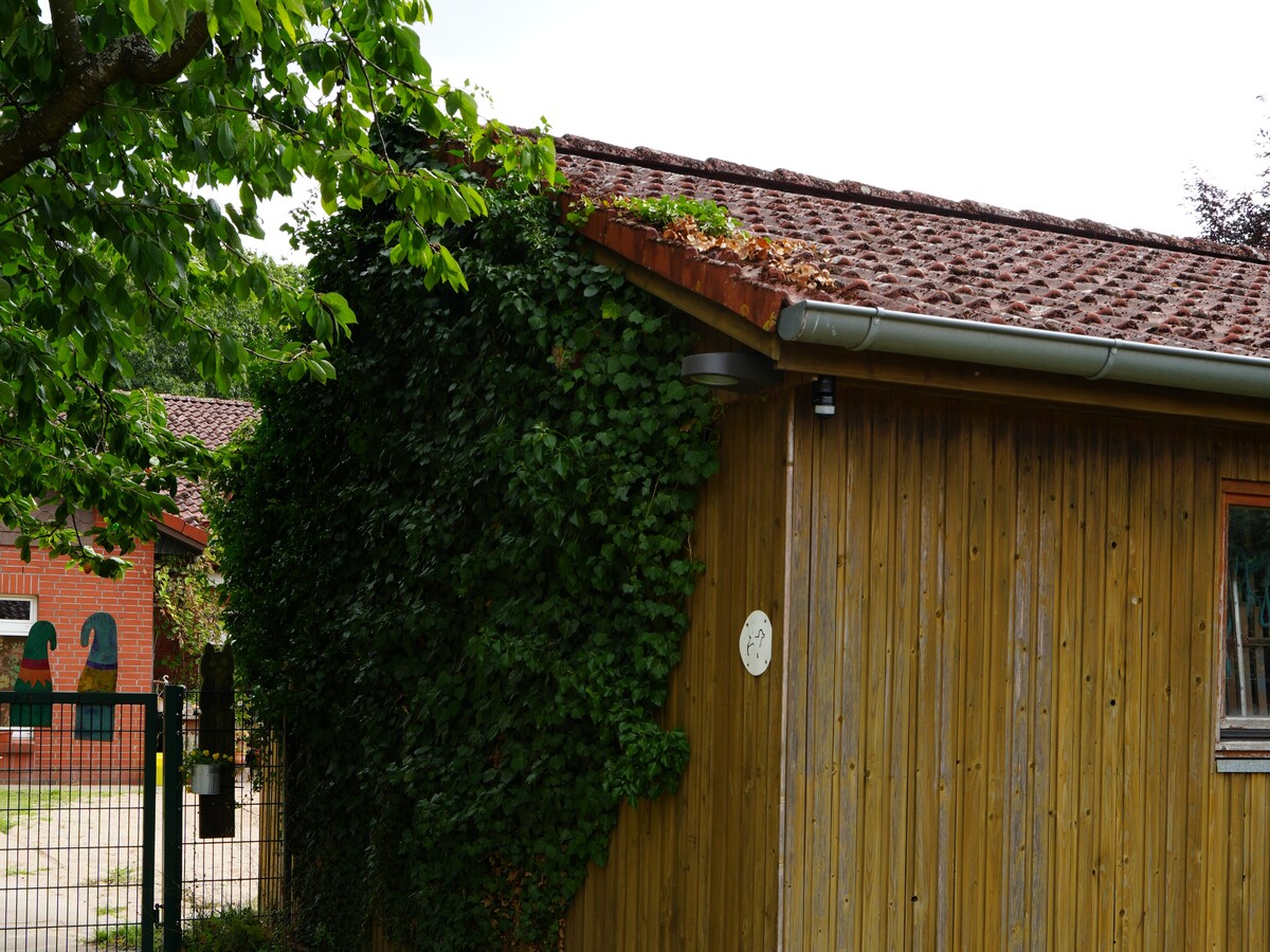 Begrünte Fassade an der Kita in Grambek Mit Kletterpflanzen begrünte Fassade eines Gebäudes in der Nähe der Kita in Grambek